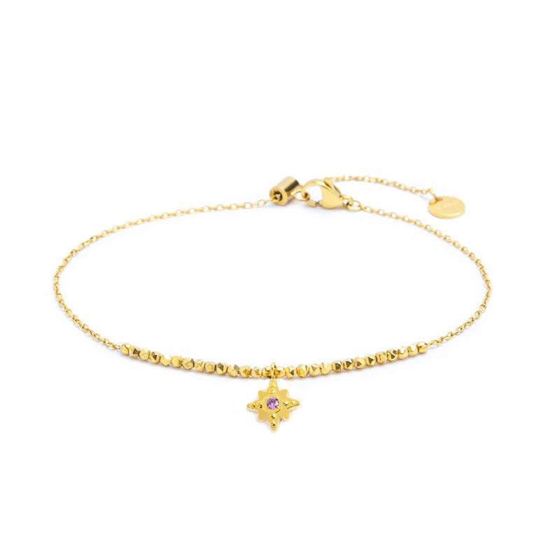 Cavigliera rosa dei venti