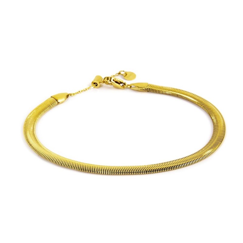 Cavigliera catena snake