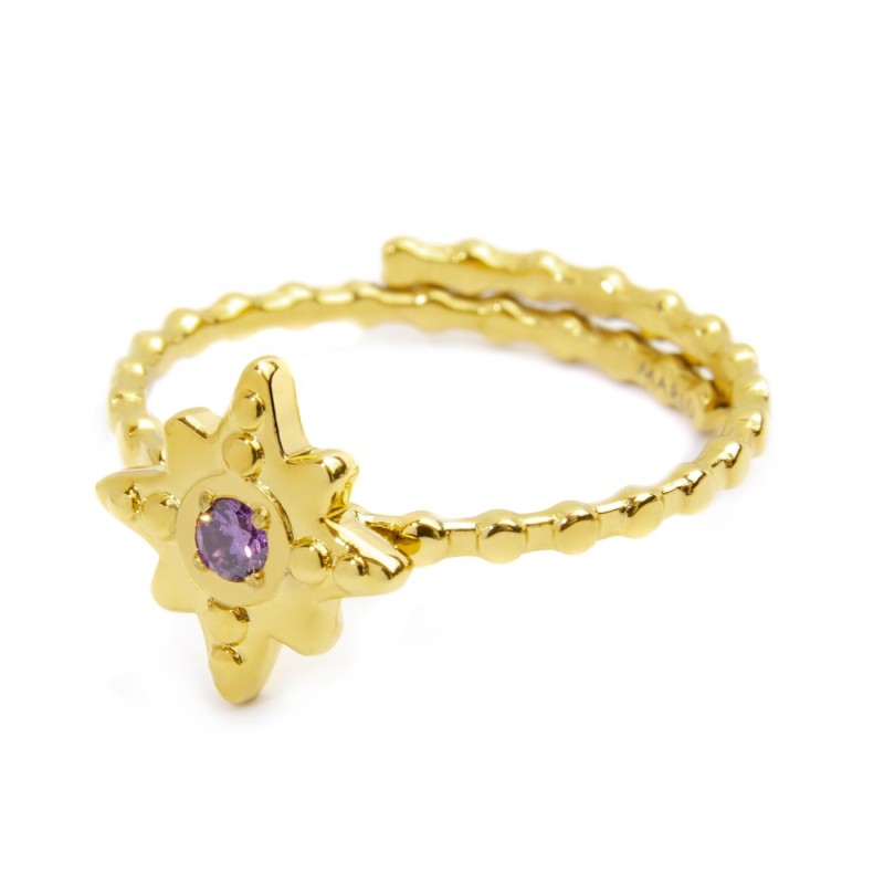 S.S GOLD IP RING WITH DOTS WIND ROSE WITH AMETHYST CZ STONE Polished s.steel gold ip ring with dots texuture by stamping, 1,50 m
