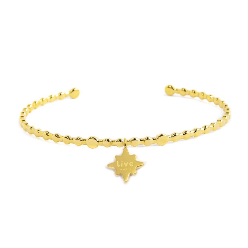 Bracciale rigido rosa dei venti pendente