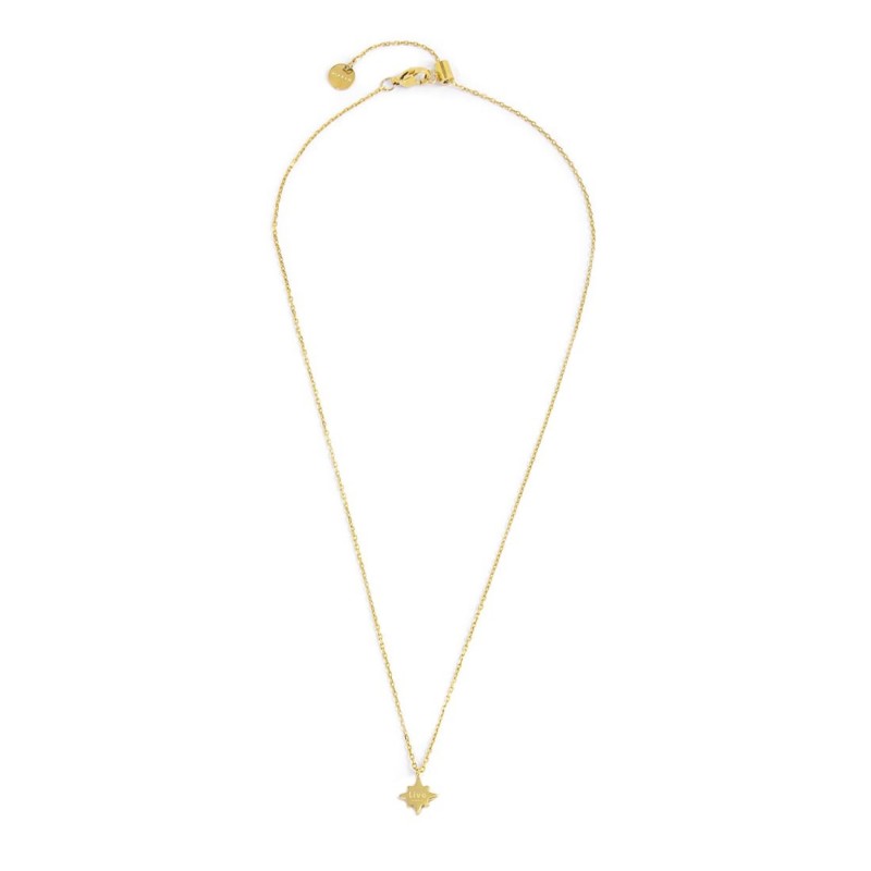 S.S.GOLD IP NECKLACE WIND ROSE PEND WITH AMETHYST CZ STONE S.steel gold ip necklace cross chain, 1 mm width, 0,27 thickness, wit