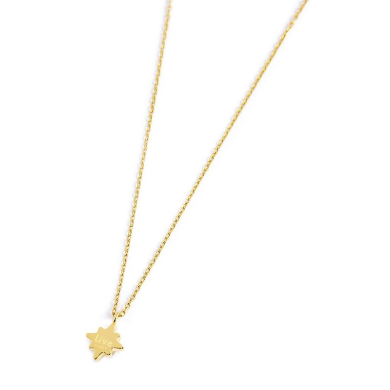 S.S.GOLD IP NECKLACE WIND ROSE PEND WITH AMETHYST CZ STONE S.steel gold ip necklace cross chain, 1 mm width, 0,27 thickness, wit