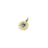 CHARM ZODIACO TMT17
