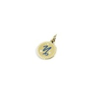 Charm zodiaco
