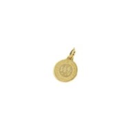 CHARM MEDAGLIA ZODIACO VSN01
