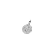 Charm zodiaco