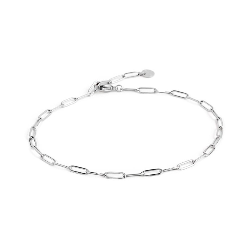 Cavigliere e charm chiave