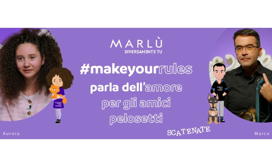Make Your Rules - AMICI PELOSETTI