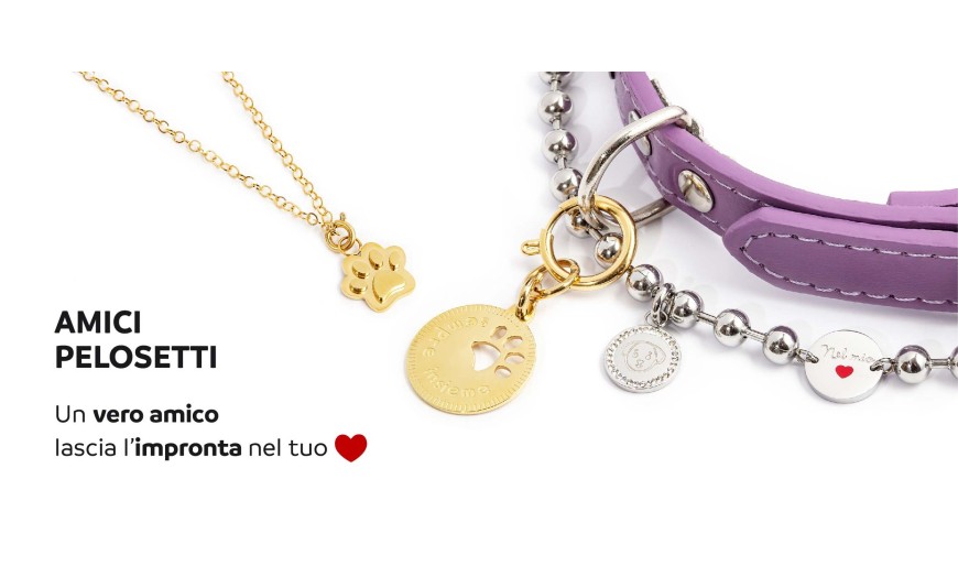 Amici Pelosetti  -  #Pelosettomio